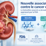 Cancer du rein avancé : la FDA approuve une nouvelle association de traitements